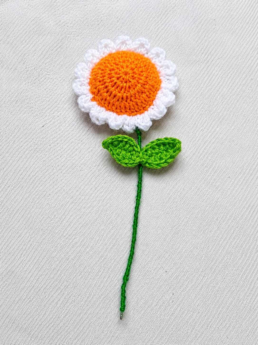 Daisy Flower