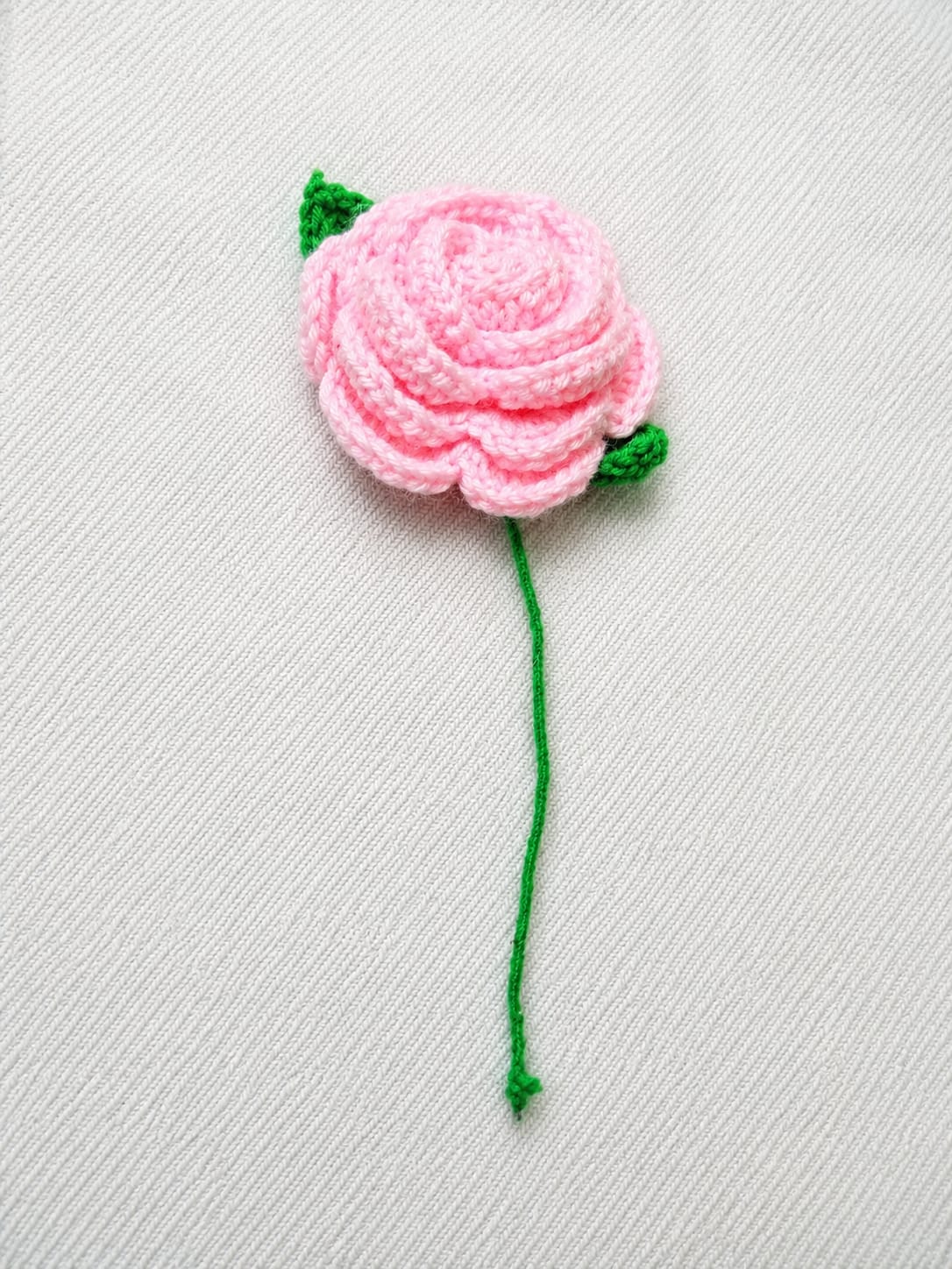 Rose Flower